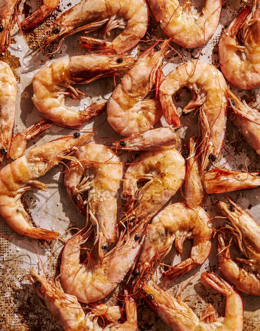 Close-up shot of delicious Shrimps — Stock Photo