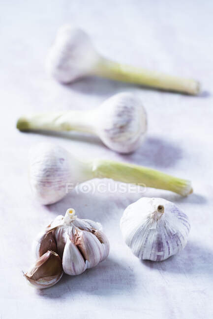Garlic and cloves on white background — Stock Photo