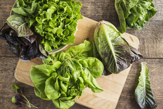Two different lettuces on the table — Fotografia de Stock