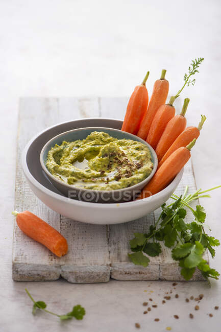 Hummus con cilantro fresco y semillas de cilantro tostadas - foto de stock