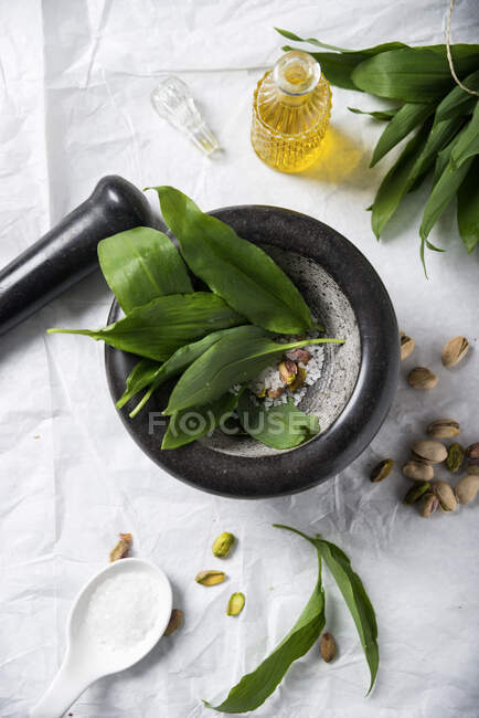 Ingredients for wild garlic pesto (wild garlic, sea salt, pistachios and oil) — Stock Photo