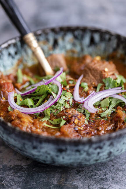 A bowl of beef curry with red onions and coriander — Fotografia de Stock