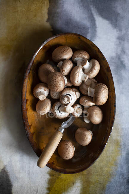 Champignons in large wooden bowl with knife — Stock Photo