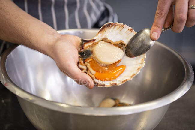 Close-up shot of delicious Preparing scallops — Stock Photo