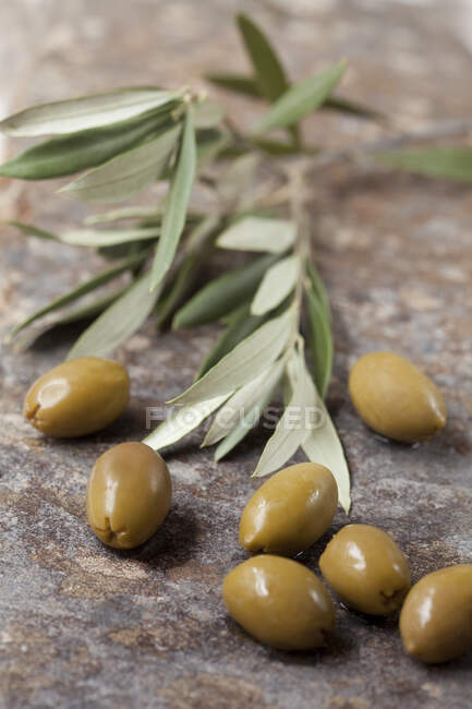 Olives vertes et branches d'olivier — Photo de stock
