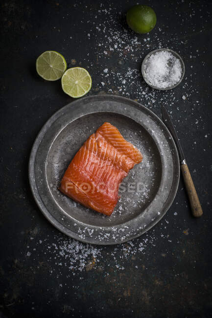 Raw salmon fillet with sea salt on a metal plate — Photo de stock