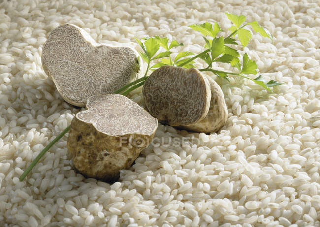 An arrangement of white truffles on round-grain rice — Stock Photo