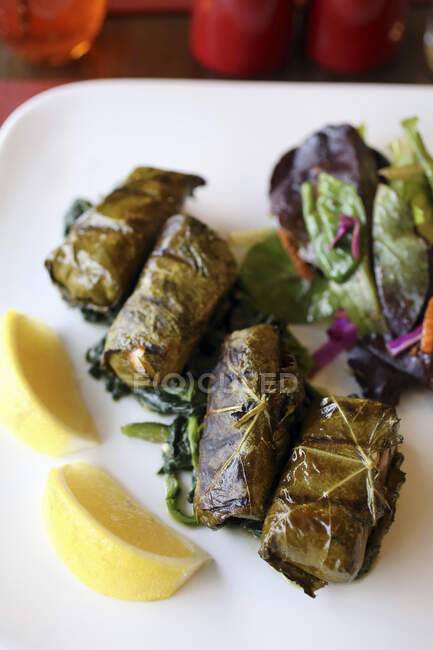 Grape leaves stuffed with rice, pine nuts, onions, black currants and herbs - foto de stock
