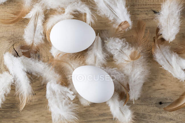 Ovos e penas brancos em tábua de madeira rústica — Fotografia de Stock
