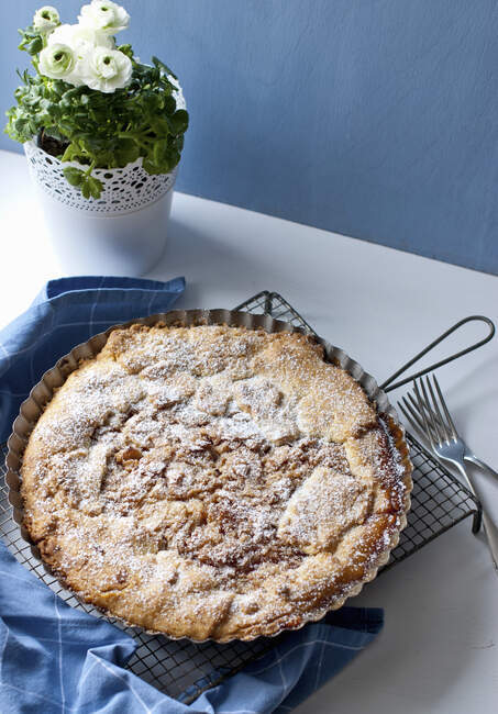 Яблучний пиріг, покритий тістечком з корою — стокове фото