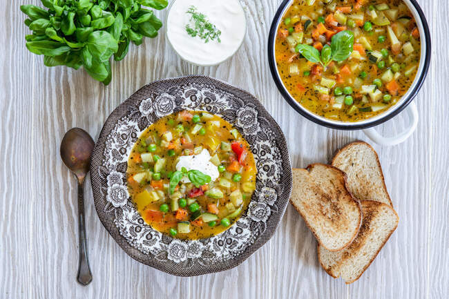 Sopa de verduras a la minestrone - foto de stock