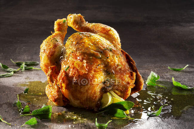 Хрустящая шалфей курица — стоковое фото