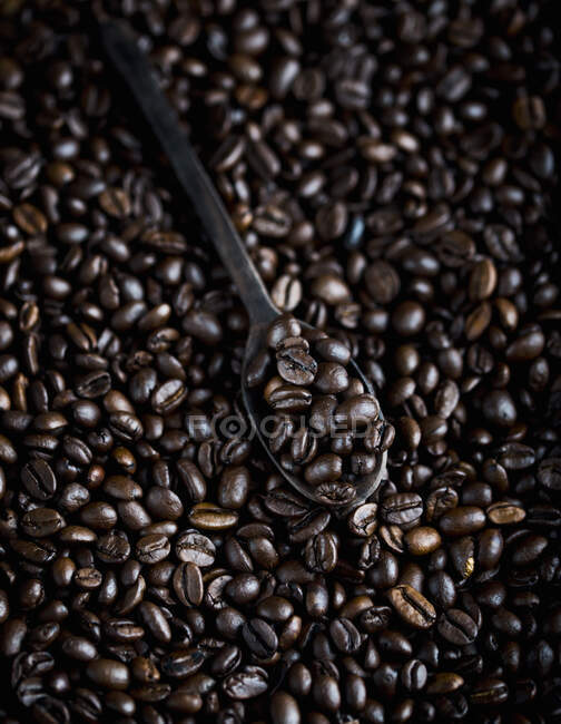 Крупным планом на фоне кофейных зерен — стоковое фото
