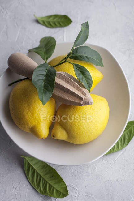 Limones en un tazón - foto de stock
