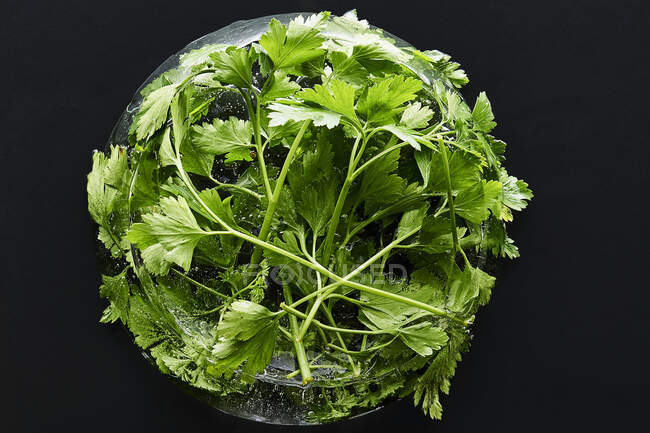 A ball of parsley — Stock Photo