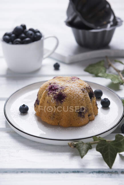 Vegan blueberry pies on plate — Stock Photo