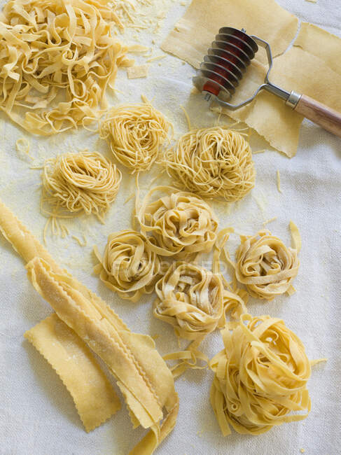 Various homemade pasta types — Stock Photo