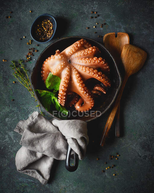 Close-up shot of delicious Octopus in a pan — Stock Photo