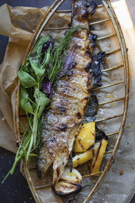 Grilled trout with herbs — Stock Photo