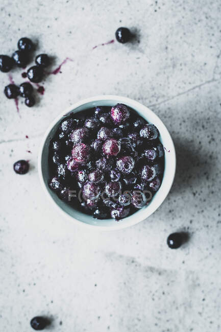 Bowl of wild blueberries in ceramic bowl — Stock Photo