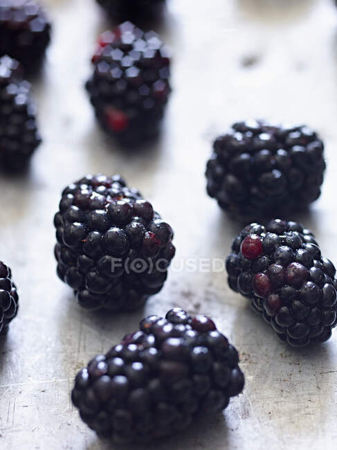 Знімок смачної індивідуальної чорної ягоди на випічці. — стокове фото