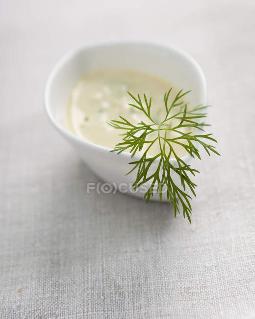A mustard dip with dill in a small bowl — Stock Photo