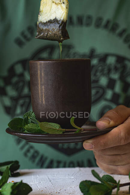 Tea bag and mint — Stock Photo