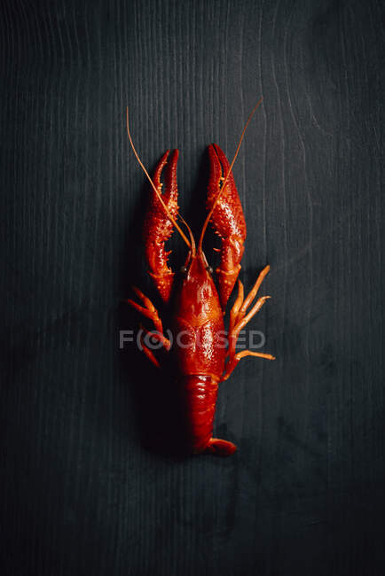 Close-up shot of delicious Boiled Crawfish — Stock Photo