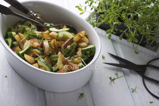 Теплый жареный картофель и огуречный салат со свежим крессом и грецкими орехами — стоковое фото