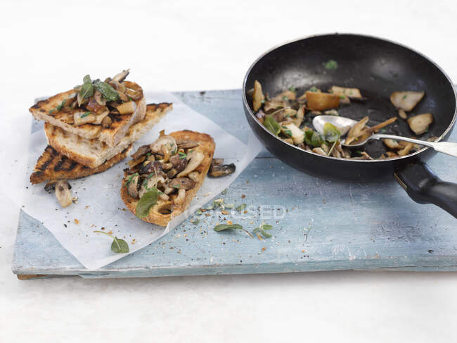 Close-up shot of delicious Mushrooms on toast — Stock Photo
