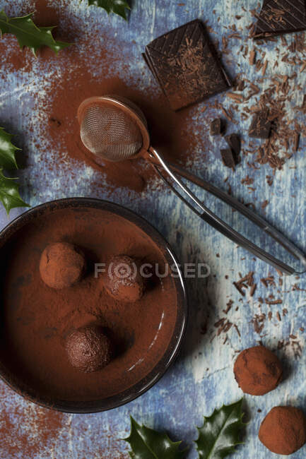 Шоколадні трюфелі в какао-порошку — стокове фото