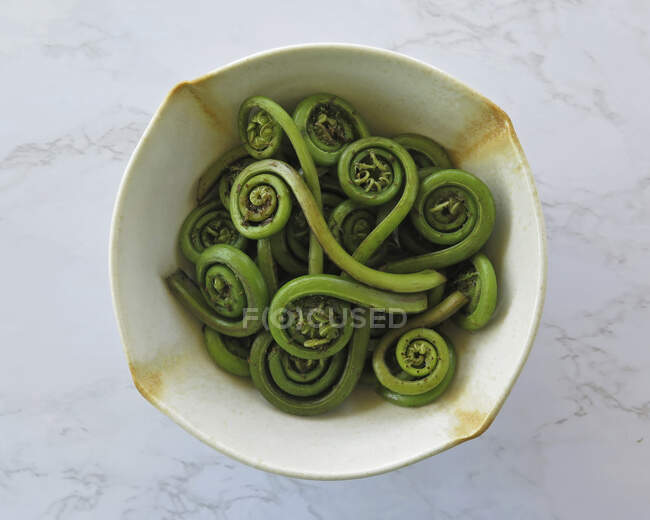Fiddlehead ferns in a pan — Stock Photo