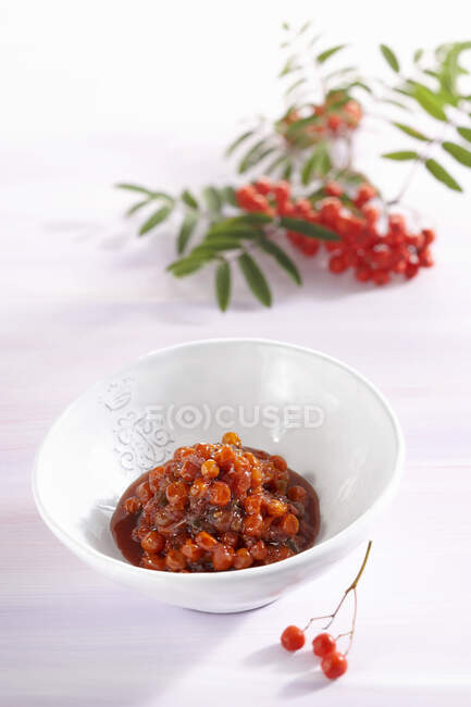 Rowan chutney with tomatoes, peppers and sultanas — Photo de stock