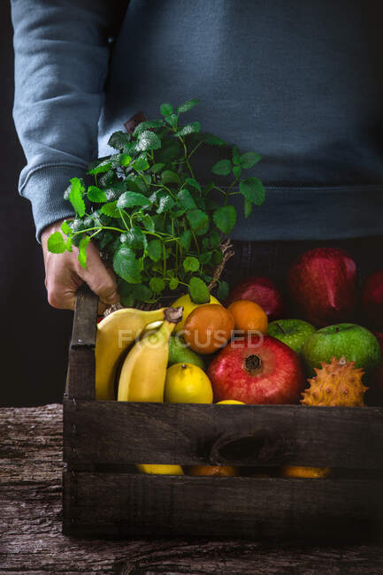 Agricultor que posee frutas y hortalizas cosechadas — Stock Photo