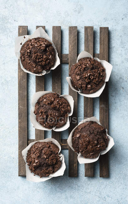 Chocolate muffins on blue background top view — Stock Photo