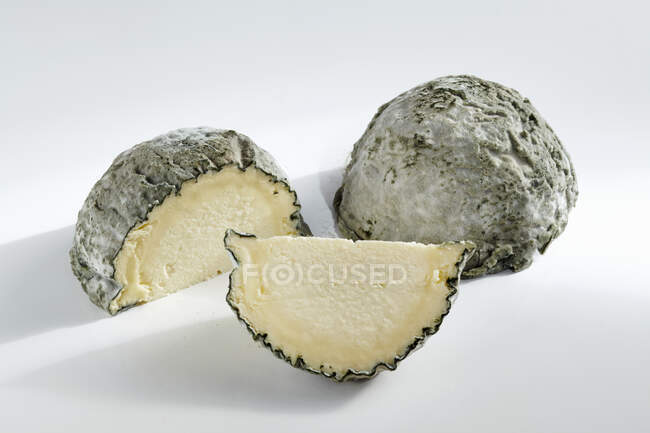 Blue brain egg milk cheese with blue mold — Stock Photo