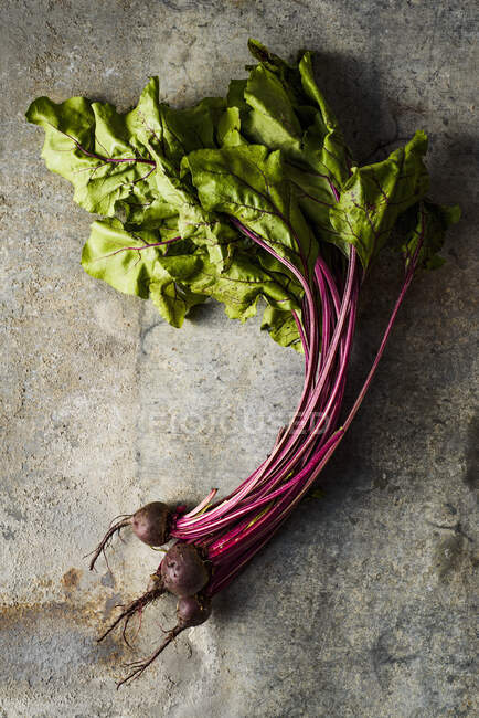 Fresh organic green beet on a concrete background. — Stock Photo