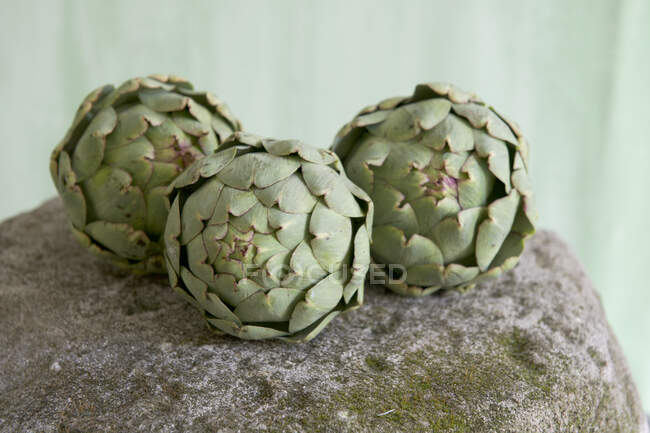 Alcachofas verdes frescas sobre un fondo blanco - foto de stock