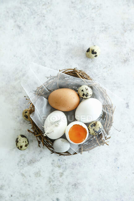 Смешанные куриные и перепелиные яйца — стоковое фото