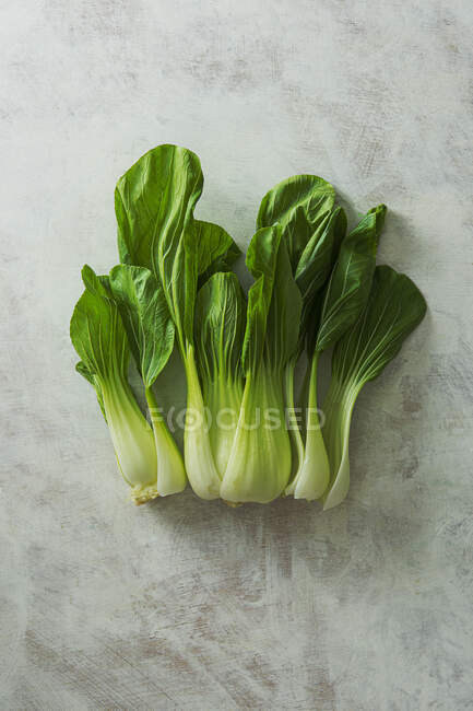 Feuilles de chou vert frais sur fond gris — Photo de stock