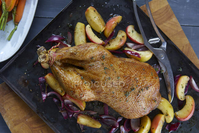 Roast duck with apple and onions — Stock Photo