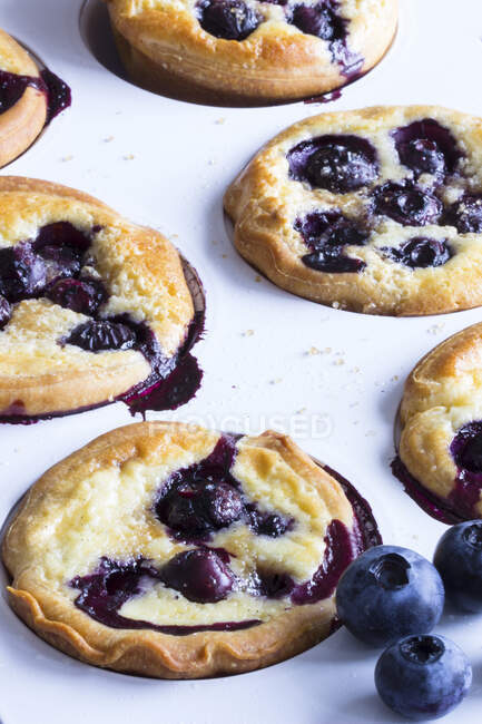 Biscuits à la levure avec des bleuets et des baies fraîches sur surface blanche — Photo de stock
