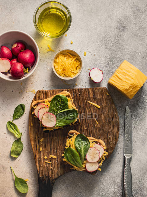 Sandwich ouvert aux radis, salade et cheddar — Photo de stock