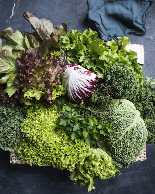 A crate of savoy cabbage, parsley, thyme, lollo, kale, oak-leaf lettuce and radicchio — Stock Photo