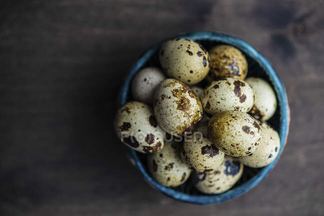 Quail eggs in small bowl, top view — Stock Photo