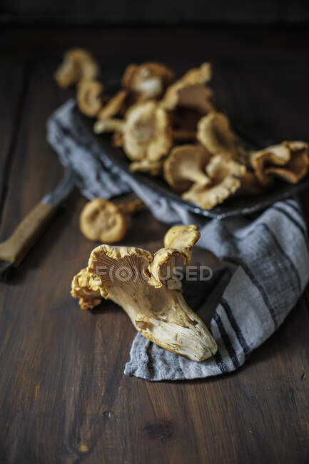 Fresh chanterelle mushrooms on a cloth and on a wooden table — Stock Photo