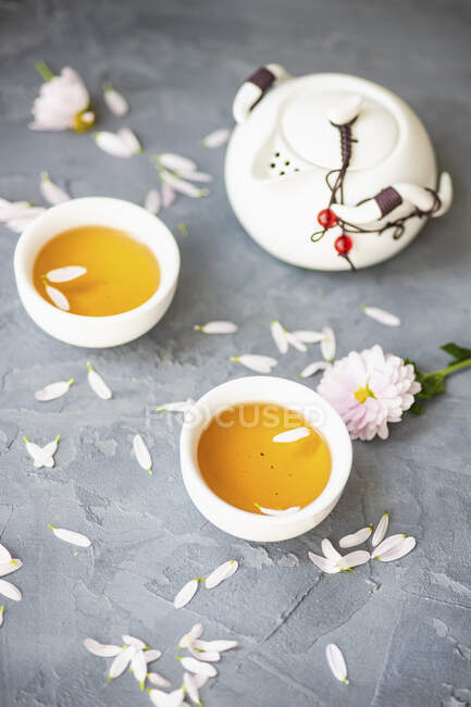 Primo piano di delizioso set da tè con tazza e teiera — Foto stock