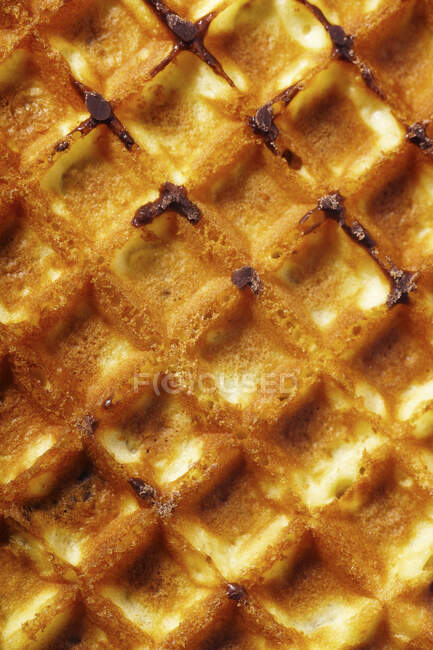 Waffle texture with chocolate drops — Fotografia de Stock