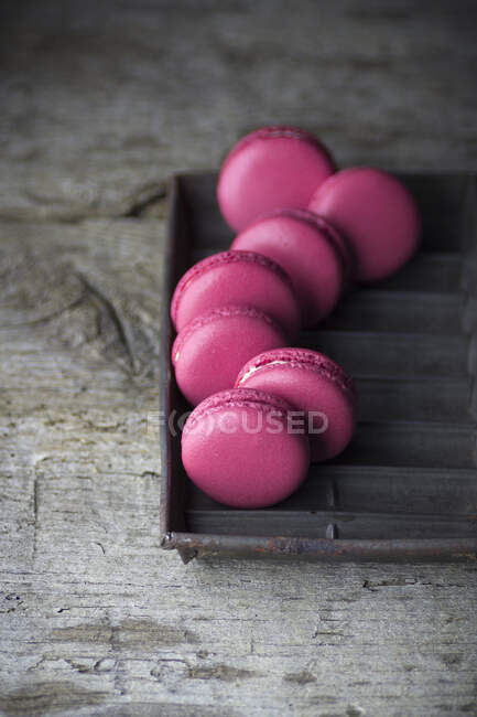 Lush pink macarons on rustic metal tin — Stock Photo