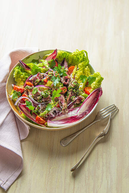 Chimichurri sliced beef steak salad — Stock Photo